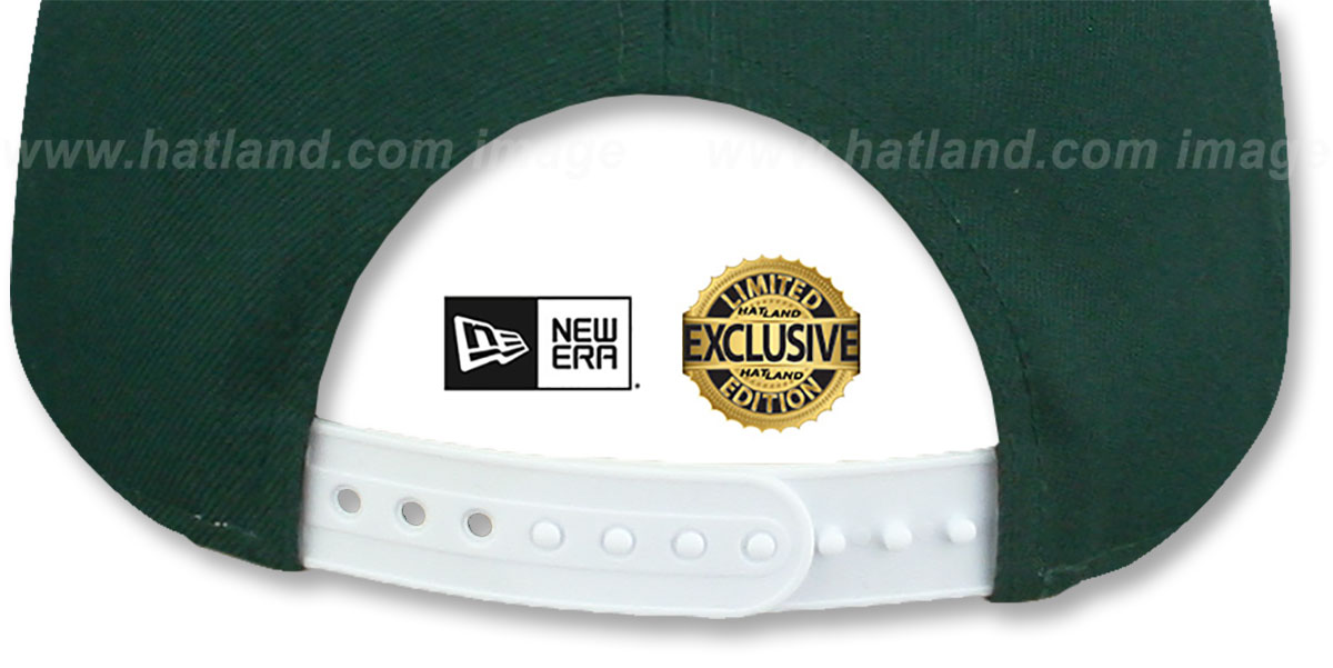 Yankees 'TEAM-BASIC SNAPBACK' Dark Green-White Hat by New Era