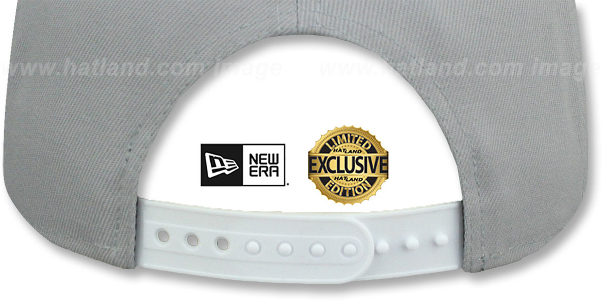 Yankees 'TEAM-BASIC SNAPBACK' Light Grey-White Hat by New Era