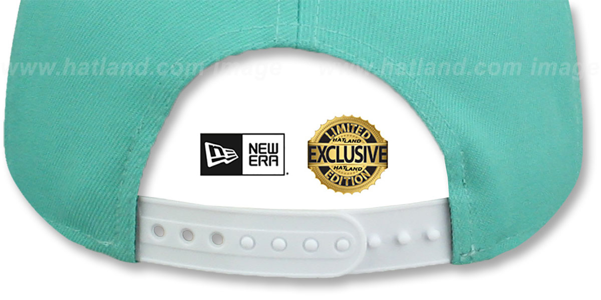 Yankees 'TEAM-BASIC SNAPBACK' Mint-White Hat by New Era