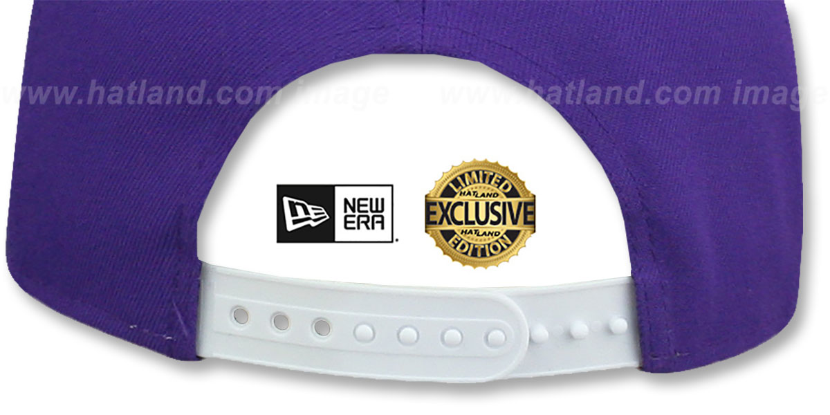 Yankees 'TEAM-BASIC SNAPBACK' Purple-White Hat by New Era